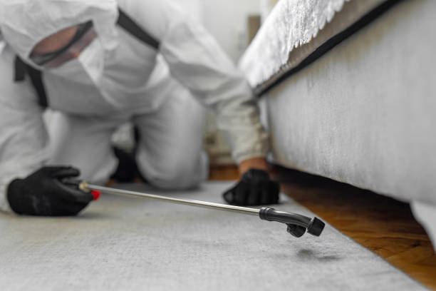 Professional Termite Control technician working in Borger, TX