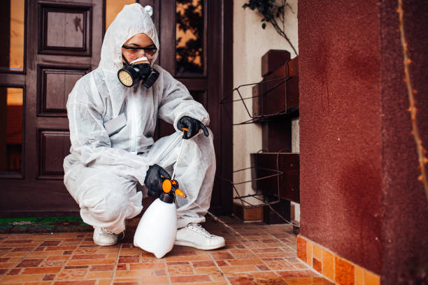 Reliable Termite Control contractor in Borger, TX by Nex Pest Control